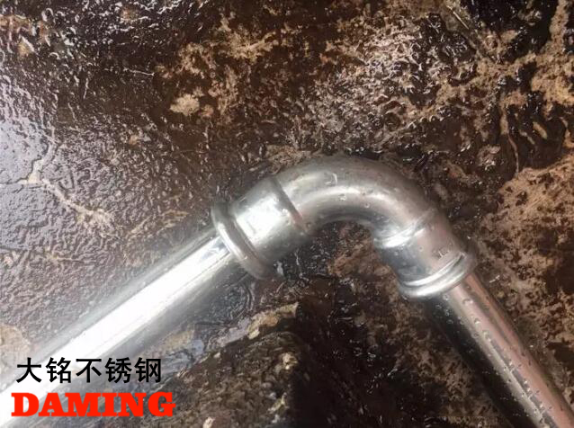 91香蕉成人APP91久久香蕉国产熟女线看给水管