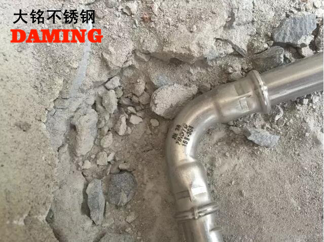 91香蕉成人APP91久久香蕉国产熟女线看