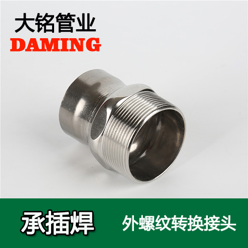 DN65*2-1/2 承插焊接式91久久香蕉国产熟女线看外螺纹转换接头（304 316L）