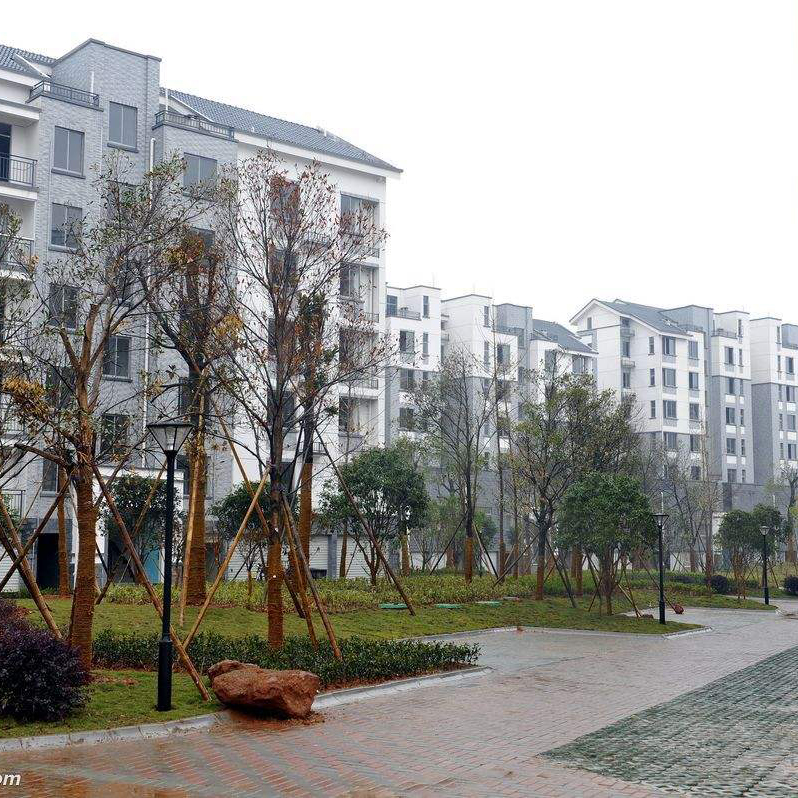 住宅小区用91久久香蕉国产熟女线看水管