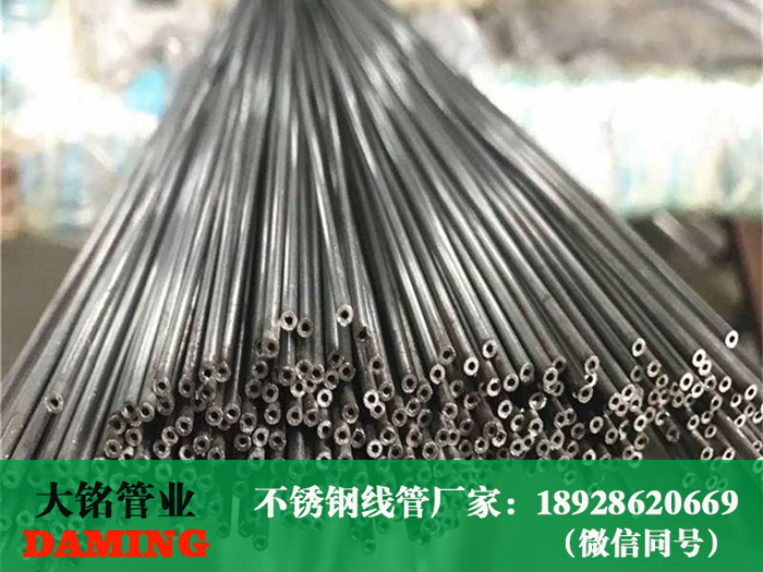 91久久香蕉国产熟女线看穿线管