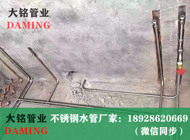 91久久香蕉国产熟女线看卡压式香蕉成人网站