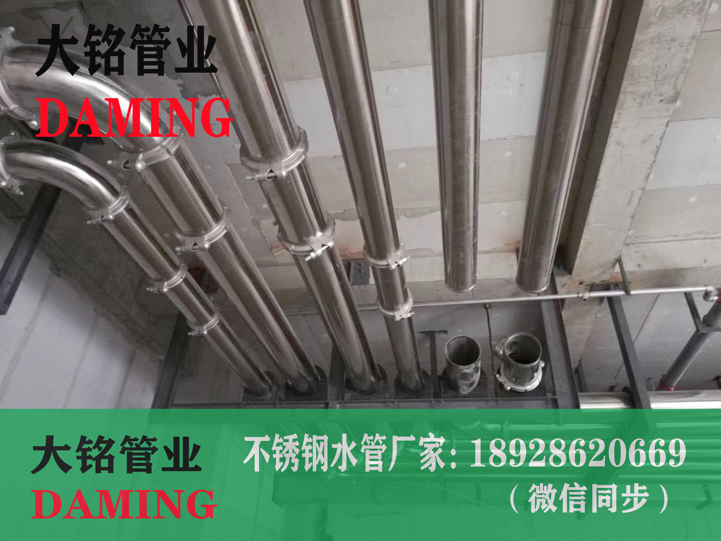 奥氏体卫生级91久久香蕉国产熟女线看水管