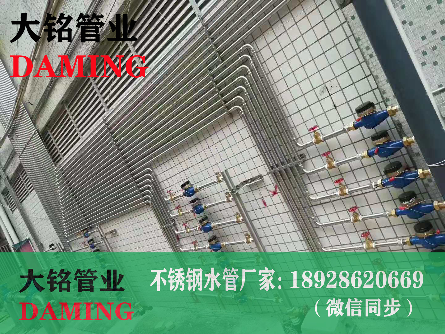 91久久香蕉国产熟女线看双卡压香蕉成人网站
