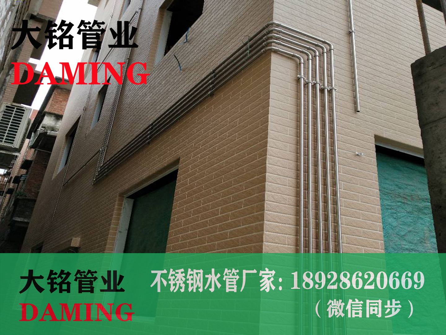 30491久久香蕉国产熟女线看水管